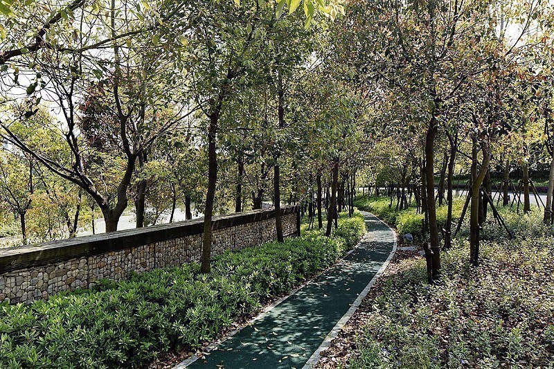 Terrain architecture - The Bay Community