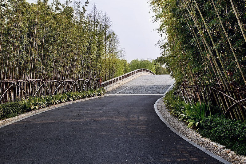 Terrain architecture - The Bay Community