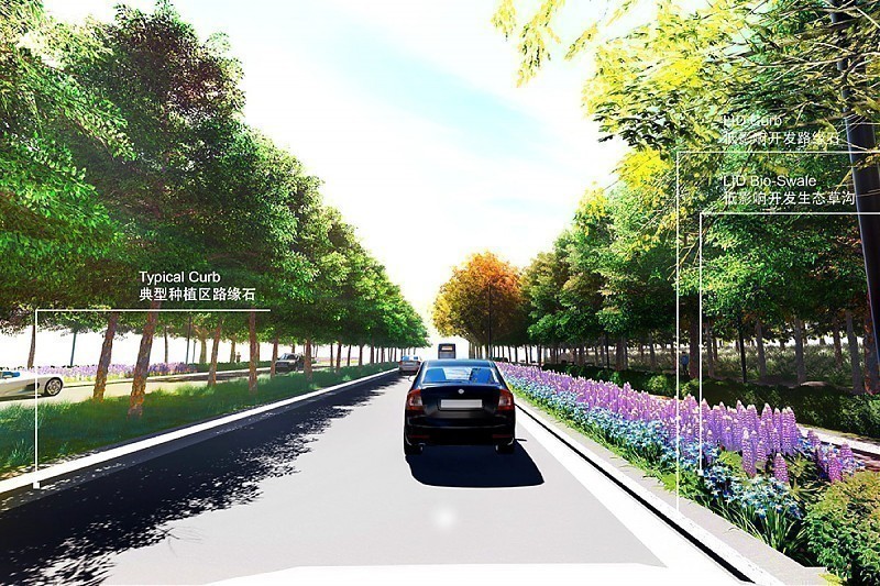 Terrain architecture - Xing Han New Town