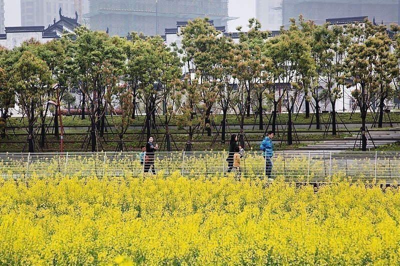 Terrain architecture - Nanjing Youth Olympic Park and Plaza