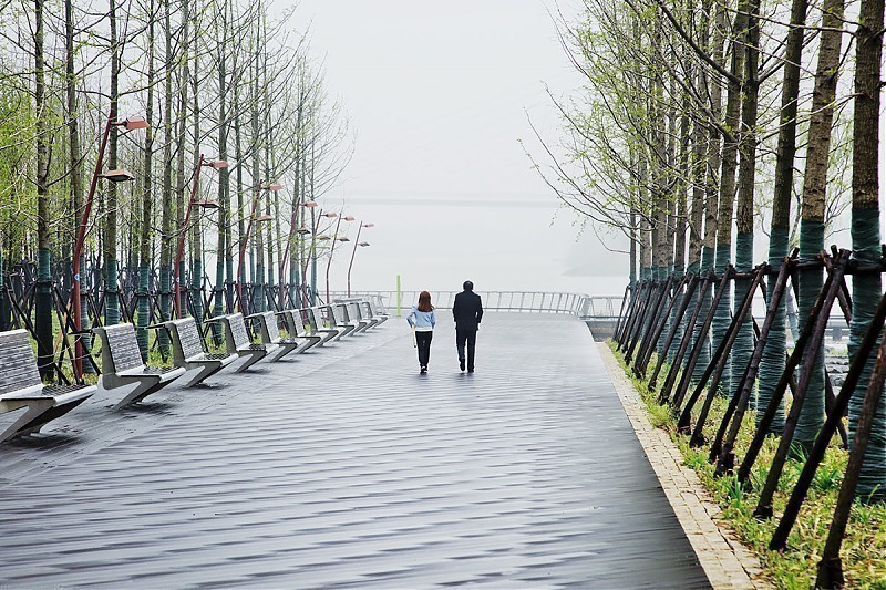 Terrain architecture - Nanjing Youth Olympic Park and Plaza