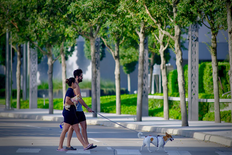 Terrain architecture - The Boulevard Project
